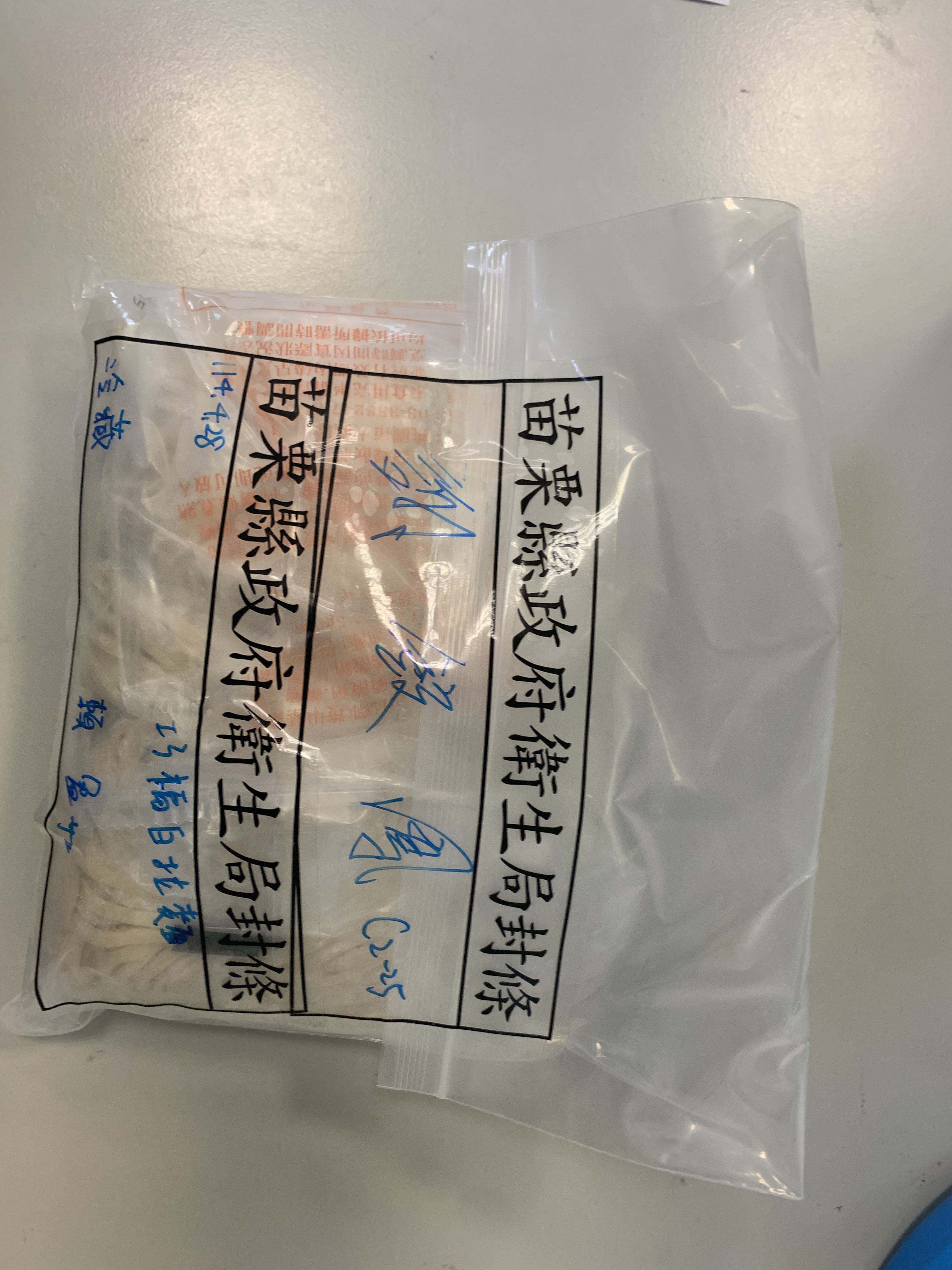 照片2